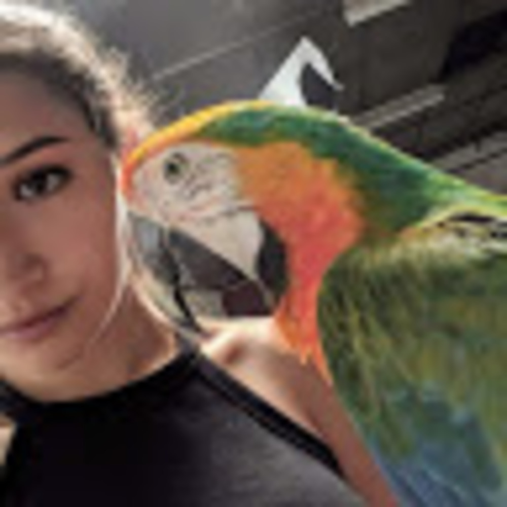 Meet your Posher, Trecy